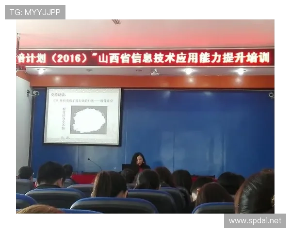 霍伊别尔技术特点解析：防守稳健组织能力持续提升