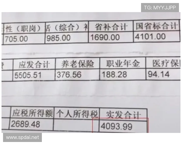 赵雅淇这消费水平，是把工资条当购物清单在用吧？