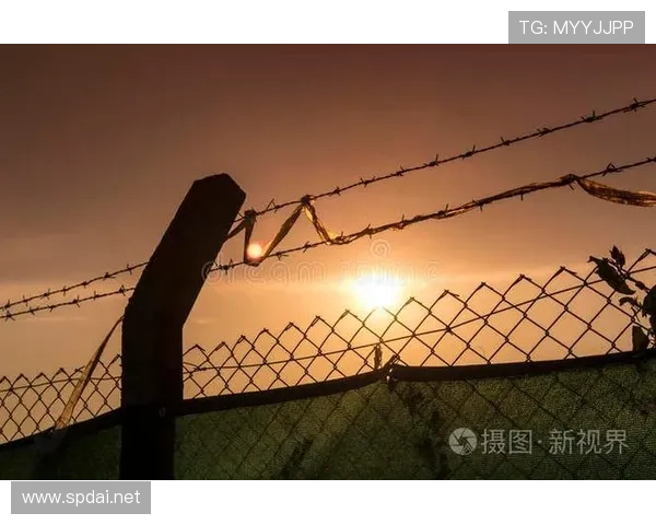 禁区线算禁区内吗？足球规则中边界判定全解析