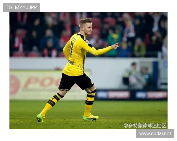 莱比锡球迷文化争议引发关注，球队社区氛围面临长期重塑挑战