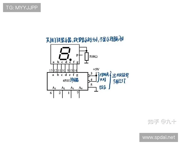 篮球计时规则深度解析：比赛时间、暂停与24秒运作机制